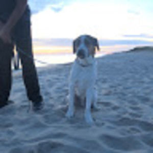 Meet your Posher, Jacqueline